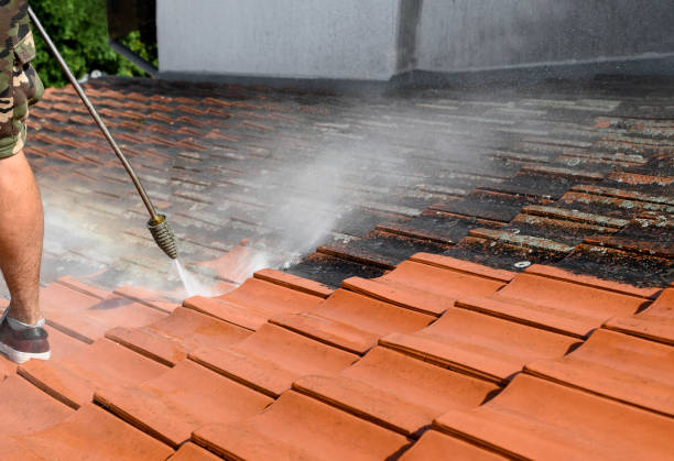 Best Fence Pressure Washing  in South Run, VA