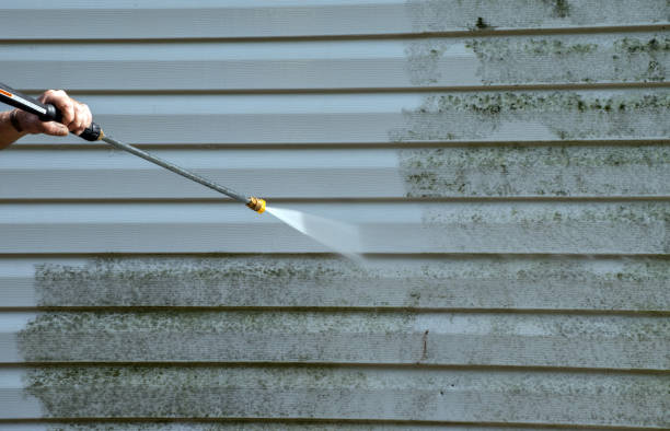 Best Roof Power Washing Services  in South Run, VA