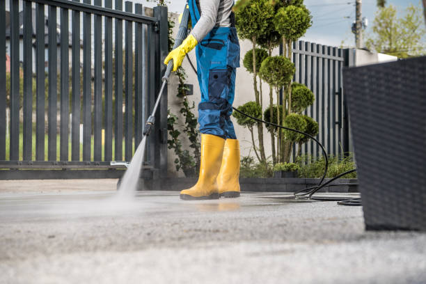 Best Affordable Pressure Washing  in South Run, VA