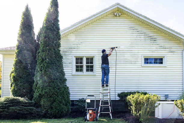 Local Pressure Washing Services in South Run, VA