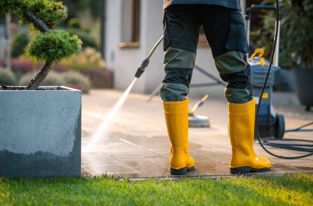 Best Exterior Home Cleaning  in South Run, VA